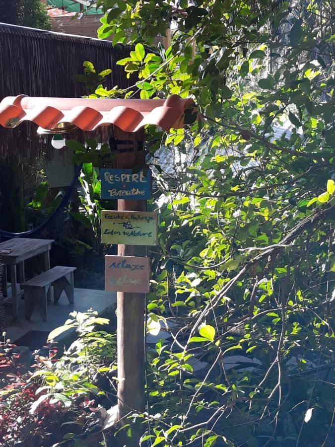 Eco Hostel Bosque Di Barro Velha Boipeba エクステリア 写真