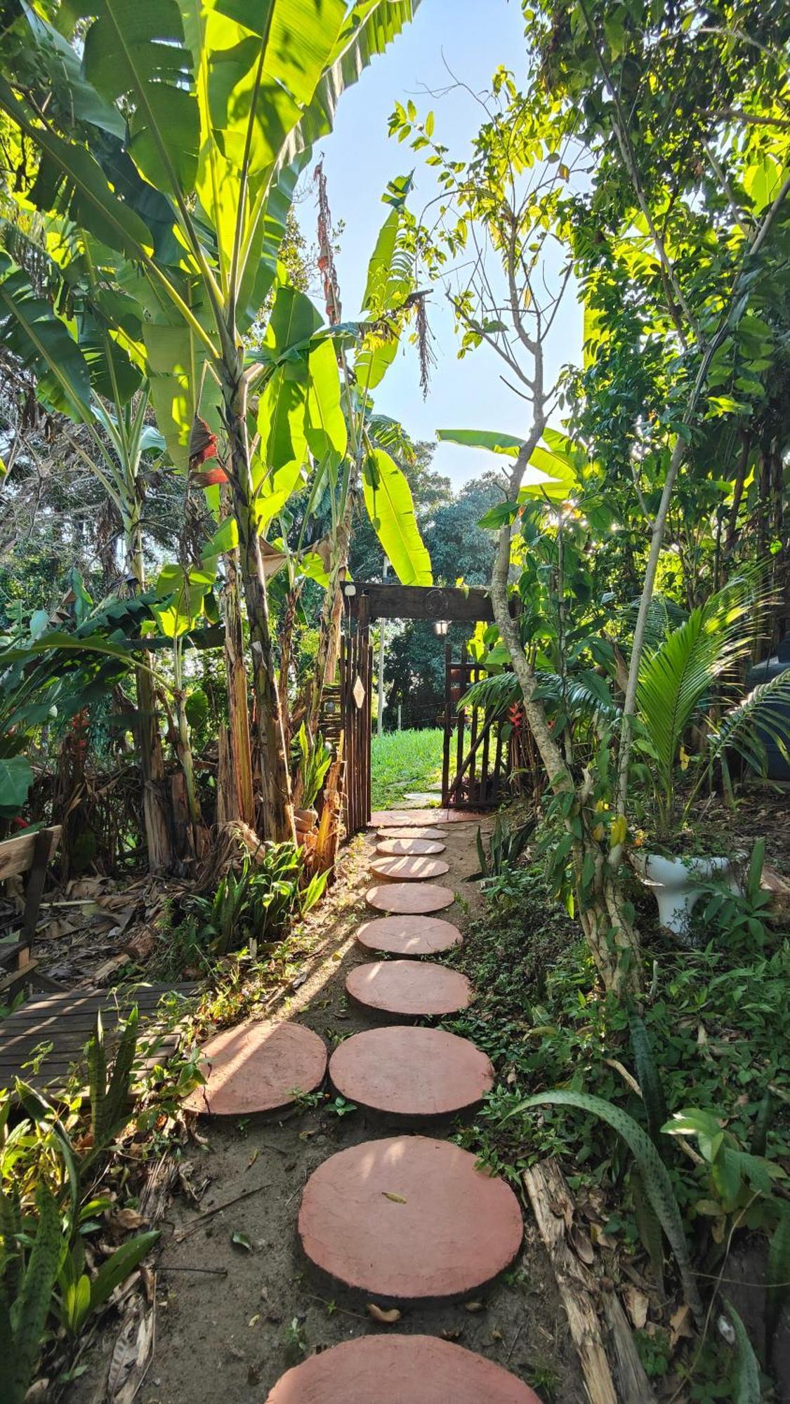 Eco Hostel Bosque Di Barro Velha Boipeba エクステリア 写真